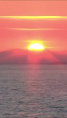 Le sous marin regagne la surface et les dauphins nagent avec lui