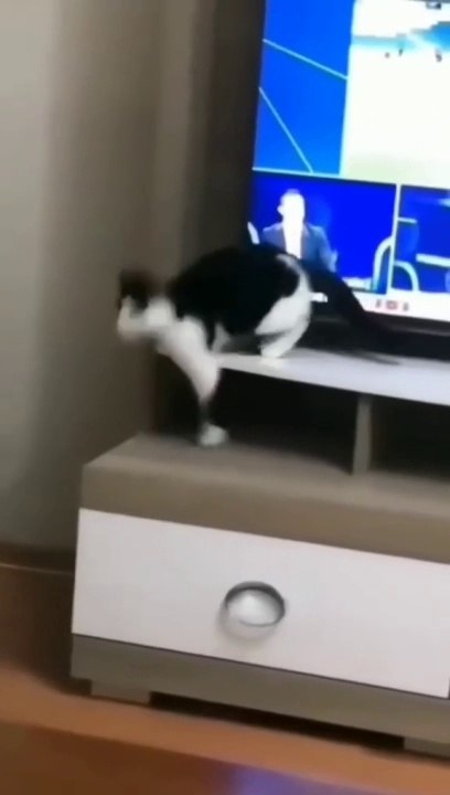 İşte en yeni videom