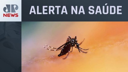 Fatalidades por dengue em SP aumentam 73% em uma semana