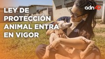 Entra en vigor la ley de protección animal, los dueños son considerados tutores de sus mascotas