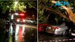 Melbourne hit by heavy rain and flash floods