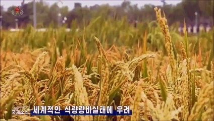 Notícias da Televisão Central da Coreia (01.04.2024)