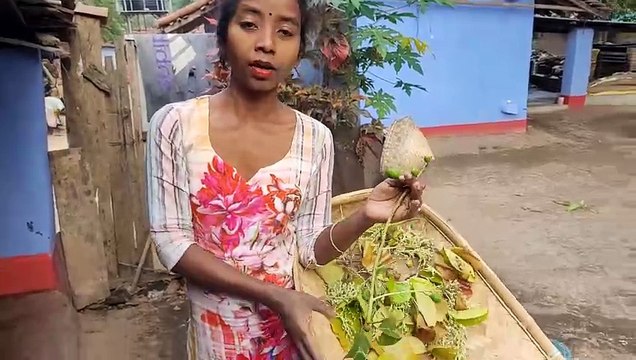 मेरे गांव का बाहा परब | बाहा बोंगा मरांग परब | Santhali baha festival