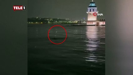 Üsküdar'da denize atlayan vatandaş bir süre yüzdükten sonra gözlerden kayboldu