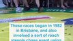 Australia's wackiest sports