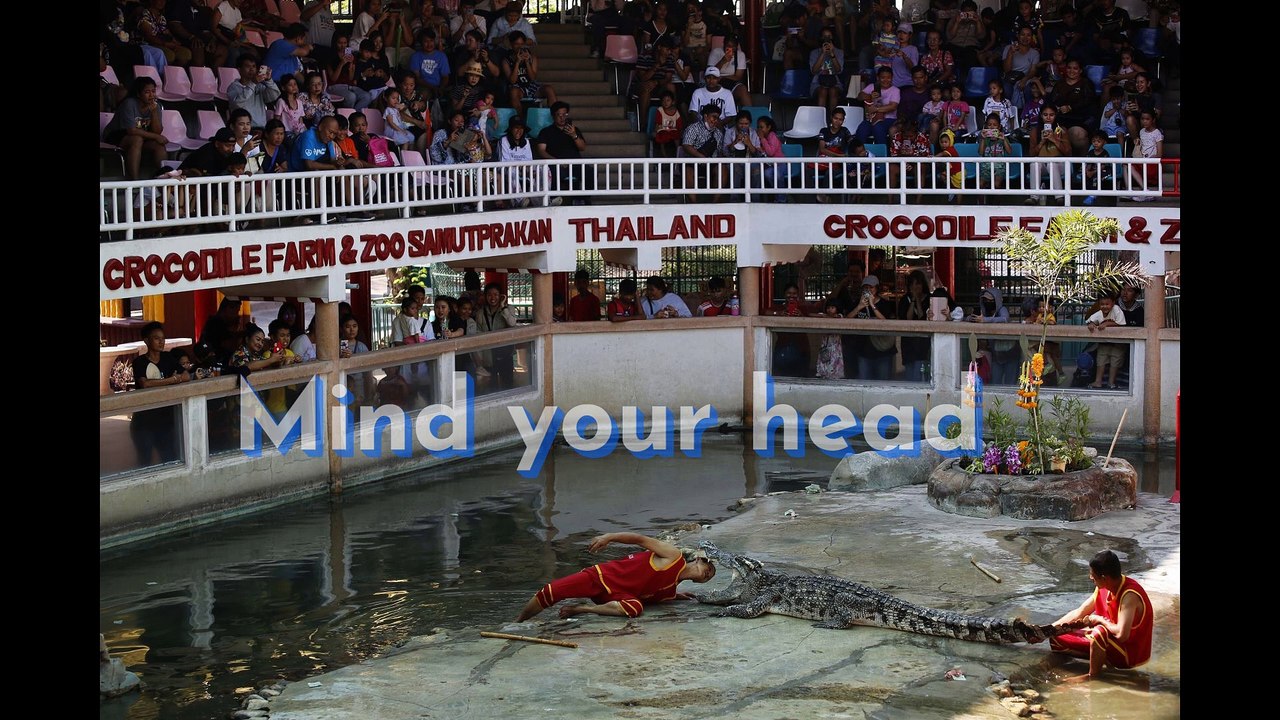 Mind your head