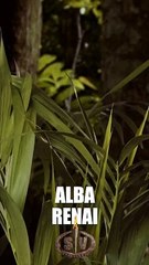 Survivor’ın yeni sunucucusu görenleri şaşırttı! O bir yapay zeka