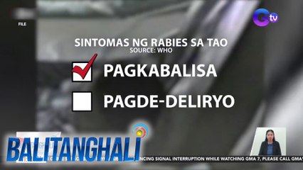 WHO: Maaaring mahawa kapag nakakain ng karne o uminom ng gatas mula sa hayop na may rabies | BT