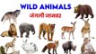 wild animals name | wild animals vocabulary | wild animals quiz | animals for kids+vocabulary