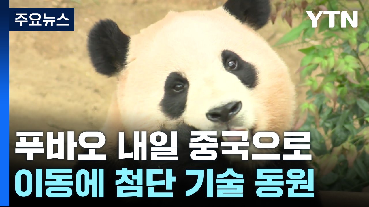 '국민 판다' 푸바오, 내일 중국으로 떠나요 / YTN