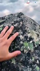 Way up in the Clouds Somewhere☁️⛰️ | AeronFly | Make Your Safar Suhana