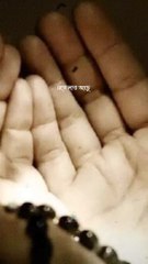 Bily Foundation is A Social & non-profit Charity organization