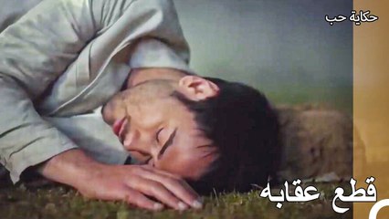 استأجر رجلا لتخويف تولغا - حكاية حب