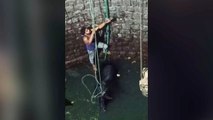 Einheimische retten mutig einen in einem Brunnen gefangenen Stier