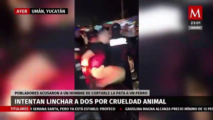 Intento de linchamiento en Yucatán por caso de maltrato animal conmociona a la comunidad