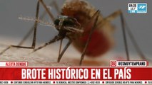 Brote histórico: ya hay más de 180.000 casos de dengue registrados en el país