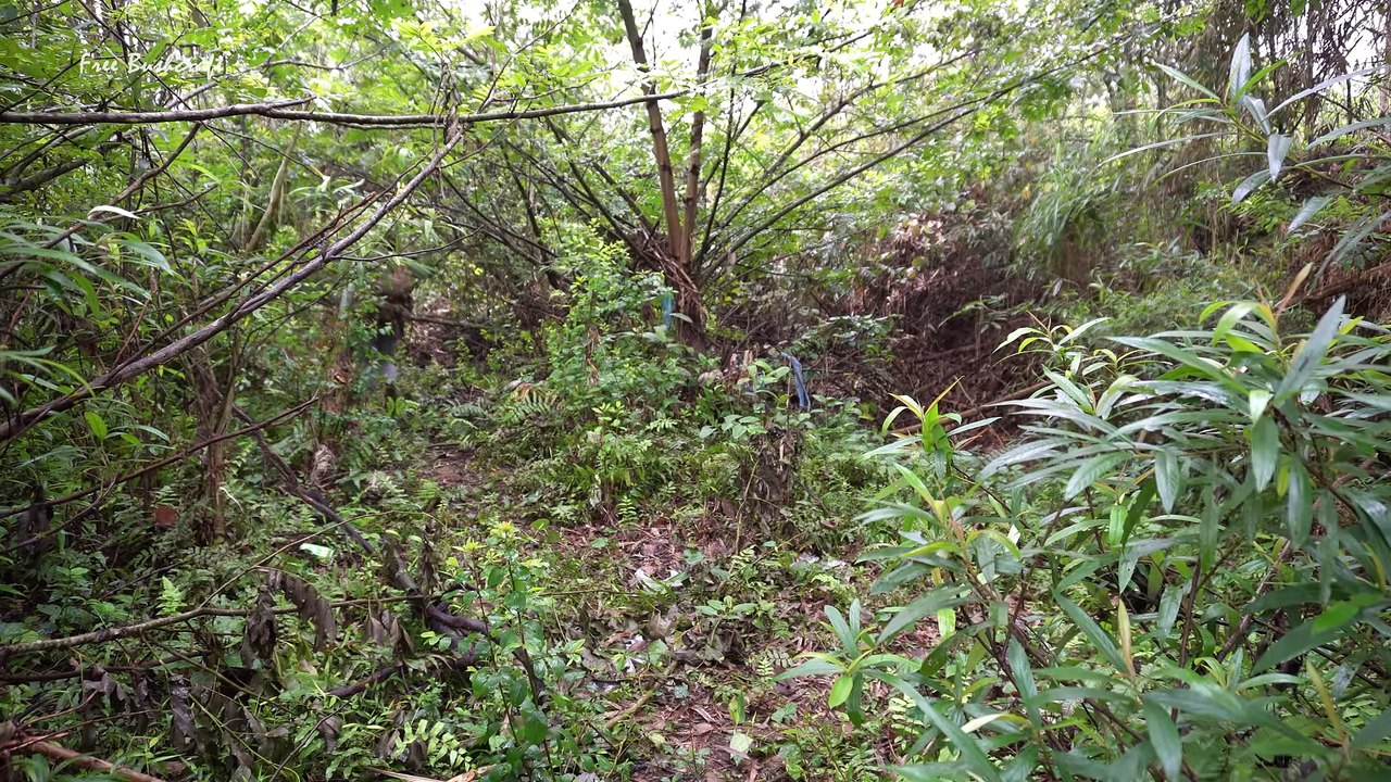 Building Simple Shelter By Stone, LIVING OFF GRID - Solo Bushcraft & Camping Ep.62