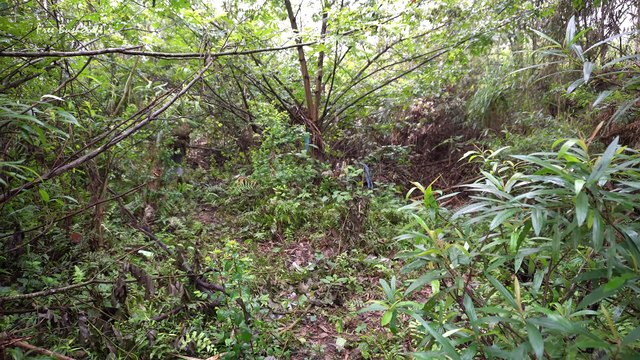 Building Simple Shelter By Stone, LIVING OFF GRID - Solo Bushcraft & Camping Ep.62