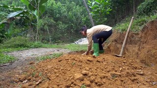 Building Gate Out Of Brick And Cement, 150 Days Building Free Farm Life, Free Bushcraft, Ep108