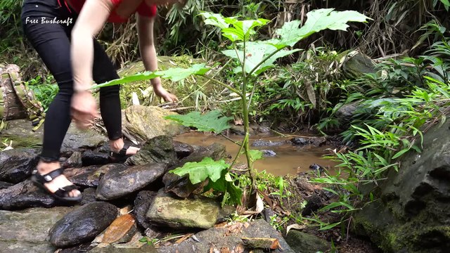 Building warm survival shelter and stove, Bush crafting in the forest Free bushcraft #72