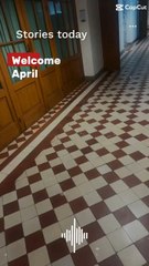 #avril2024 #april2024 #primptemps #niceday #nicedaytoday #tuesday #MARDI #goodvibes #goodday Tout Le Monde