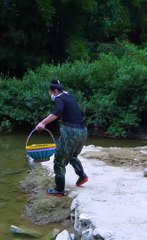 Piles of golden clams, oversized golden pearls