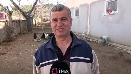 Bu yumurta başka yumurta! Mavi ve yeşil renginde olup tanesi 20 liradan satılıyor!