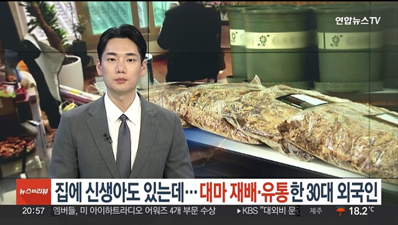 집에 신생아도 있는데…대마 재배·유통한 30대 외국인 검거