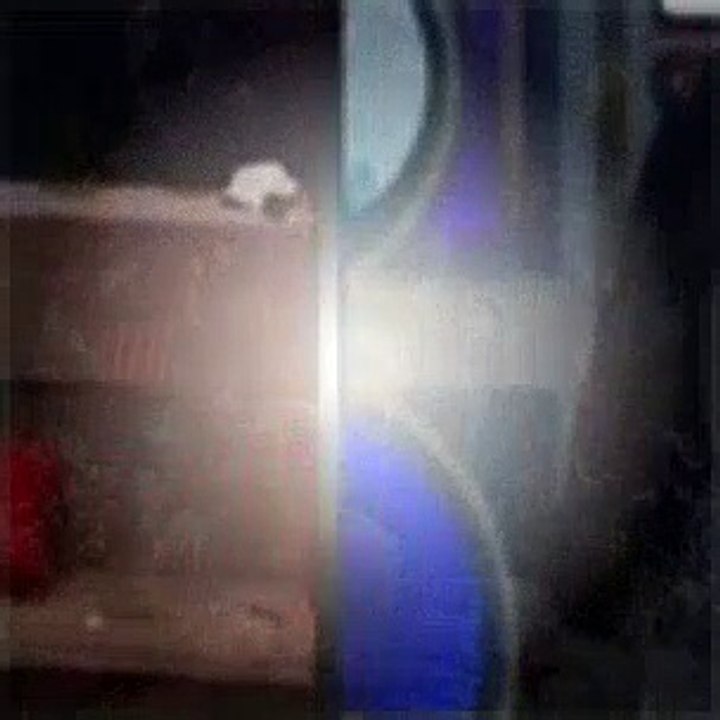 Henry Danger Season 5 Episode 14 Charlotte Gets Ghosted