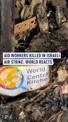 Aid Workers Killed in Israeli Air Strike: World Reacts