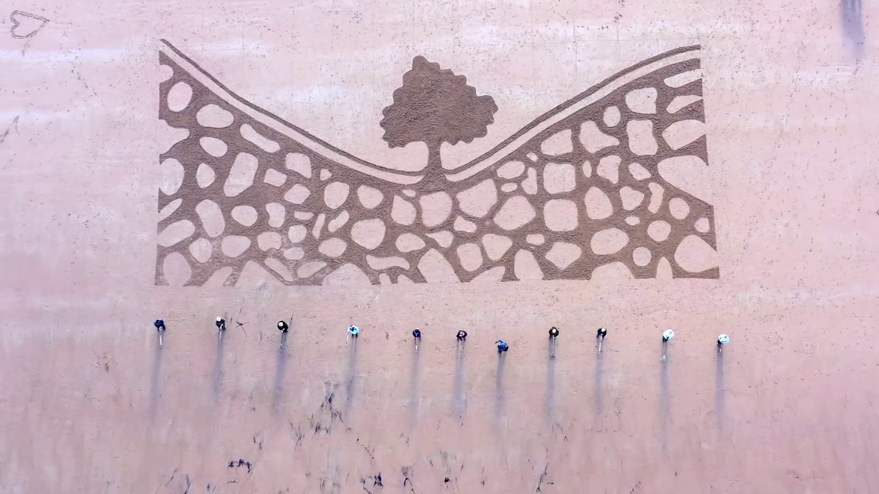 Beach art in memory of felled Sycamore Gap tree