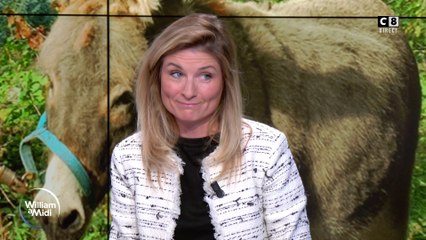 Vos animaux : ces animaux de compagnie pas comme les autres !