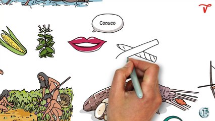 Legado de los Taínos 🏝️