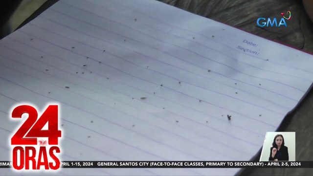 24 Oras Part 2: Problemang kuto sa tag-init; kampanya kontra-droga ng PNP; pagtitiyak ng DOH sa gitna ng mga kaso ng pertussis ; lagay ng panahon, atbp.