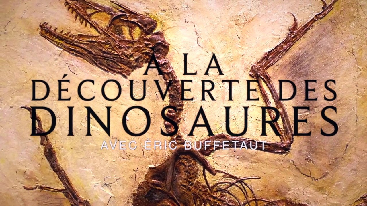 Les oiseaux sont-ils les derniers descendants des dinosaures