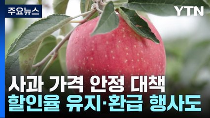 '금보다 사과?'...사과 안심 프로젝트로 잡힐까? / YTN
