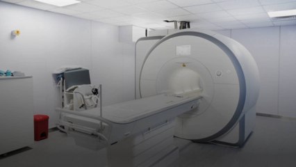 Premières images du cerveau humain obtenues par l'IRM le plus puissant du monde
