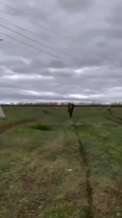 GRATIN DE PÂQUES #recette #paques #paque #agneau #pate #pasta #tomate #sauce #recipe #cuisine #chef #food