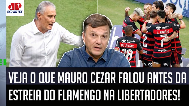 Eu acho PERFEITAMENTE POSSÍVEL o Flamengo PENSAR em... VEJA o que Mauro Cezar FALOU!