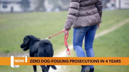 Bridgend gives zero dog-fouling prosecutions in four years