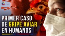 Gripe aviar: Estados Unidos detecta el primer caso de esta enfermedad en humanos