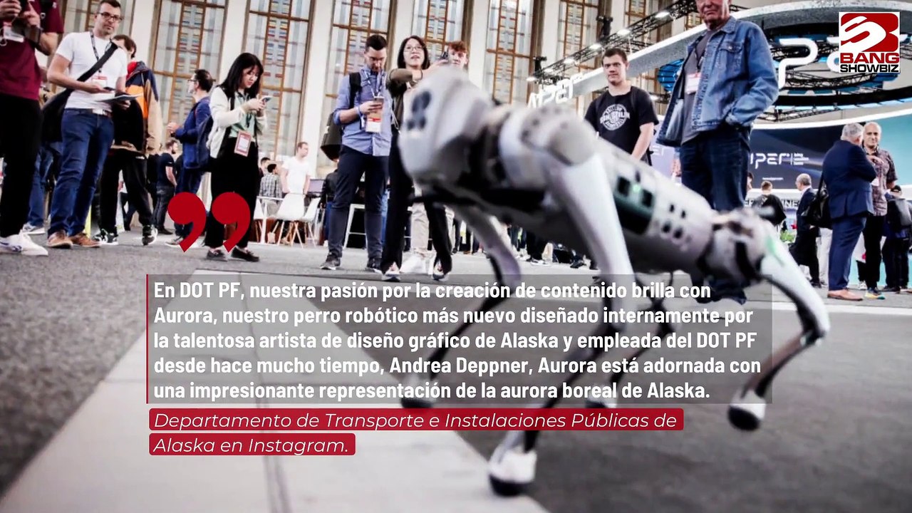Aeropuerto de Alaska utilizará robots para evitar choques con aves