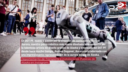 Aeropuerto de Alaska utilizará robots para evitar choques con aves