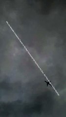 Why Are Wearable Compasses Popular In The Bear Community? No One Knows For Sure…But They Always Get Their Bearings 04/02/2024