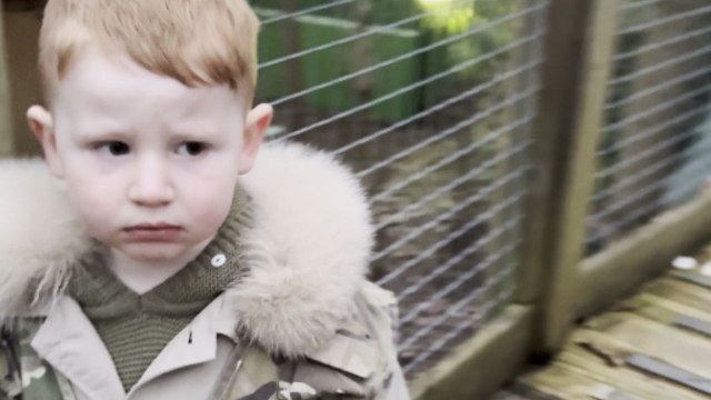 Dino sighting hilariously scares 3 y/o boy at Gulliver's World