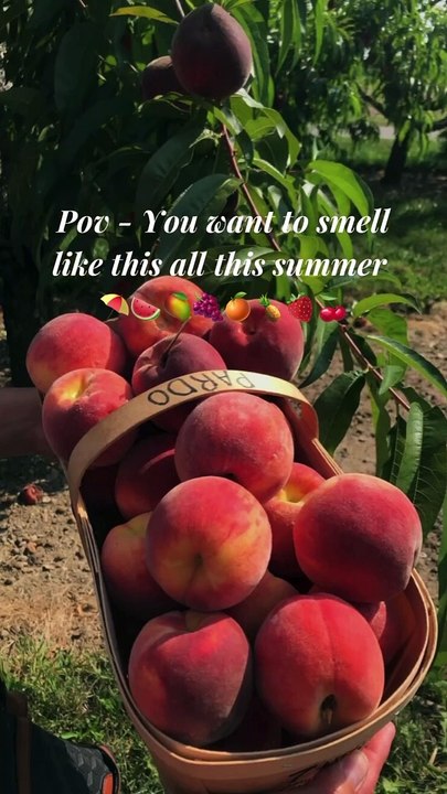 Will be eating them too   Follow for more   links are in the highlights ...........#showerroutine #explorepage  #bodycareproducts #fypage #viralinstagram #fragrance #summervibes  #trendingreels #smellsogood #selfcared
