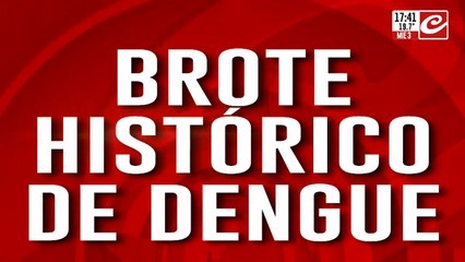 Nicolás Kreplak: "No hay apoyo nacional para la prevención del dengue"