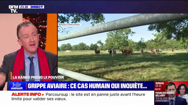 LA BANDE PREND LE POUVOIR - Grippe aviaire: ce cas humain qui inquiète