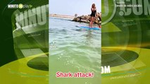 Con final inesperado Una aprendiz de surf tuvo un encontrón con un tiburón