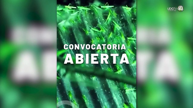 Con reflexiones sobre avances tecnológicos, será realizado el GIFF 2024